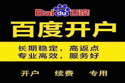 百度SEO推广策略解析：某知名企业的成功经验