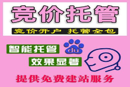 百度竞价价格优化，成功案例解析